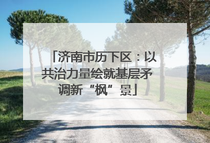 济南市历下区：以共治力量绘就基层矛调新“枫”景