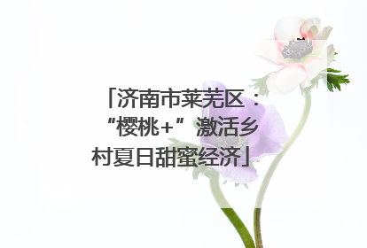 济南市莱芜区：“樱桃+”激活乡村夏日甜蜜经济