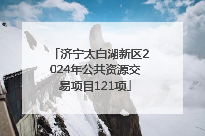 济宁太白湖新区2024年公共资源交易项目121项