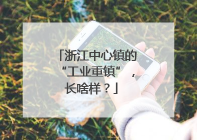浙江中心镇的“工业重镇”，长啥样？