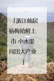 浙江仙居杨梅抢鲜上市 小水果闯出大产业