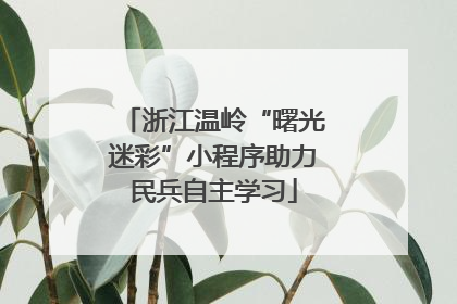 浙江温岭“曙光迷彩”小程序助力民兵自主学习