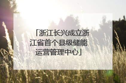 浙江长兴成立浙江省首个县级储能运营管理中心