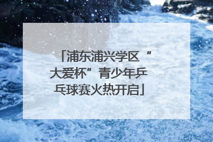 浦东浦兴学区“大爱杯”青少年乒乓球赛火热开启
