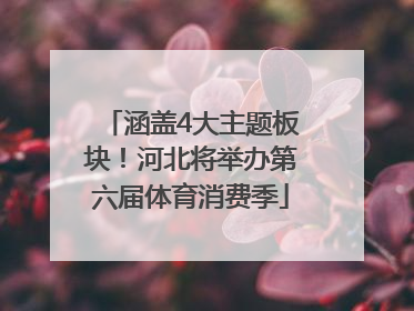 涵盖4大主题板块！河北将举办第六届体育消费季