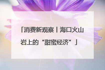 消费新观察丨海口火山岩上的“甜蜜经济”