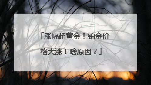 涨幅超黄金！铂金价格大涨！啥原因？