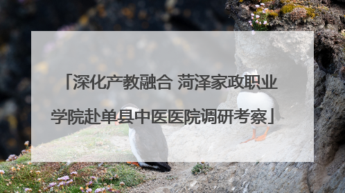 深化产教融合 菏泽家政职业学院赴单县中医医院调研考察