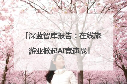 深蓝智库报告：在线旅游业掀起AI竞速战