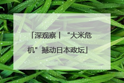 深观察丨“大米危机”撼动日本政坛