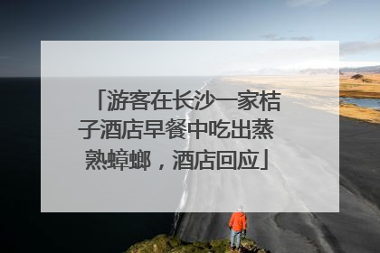 游客在长沙一家桔子酒店早餐中吃出蒸熟蟑螂，酒店回应