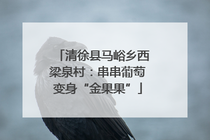 清徐县马峪乡西梁泉村：串串葡萄变身“金果果”