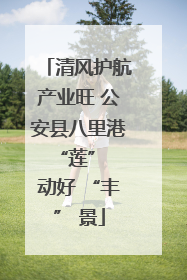 清风护航产业旺 公安县八里港 “莲” 动好 “丰” 景