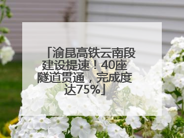 渝昆高铁云南段建设提速！40座隧道贯通，完成度达75%