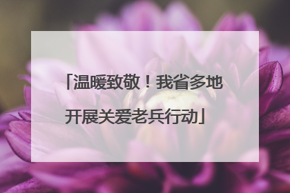 温暖致敬！我省多地开展关爱老兵行动