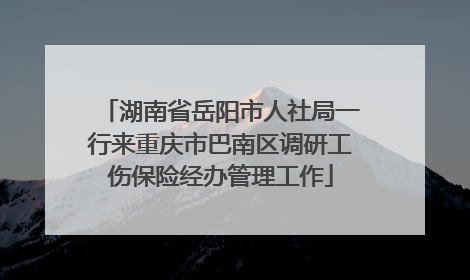 湖南省岳阳市人社局一行来重庆市巴南区调研工伤保险经办管理工作