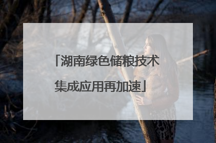 湖南绿色储粮技术集成应用再加速