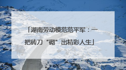 湖南劳动模范范平军：一把砖刀“砌”出精彩人生