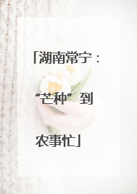 湖南常宁：“芒种”到 农事忙