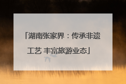 湖南张家界：传承非遗工艺 丰富旅游业态