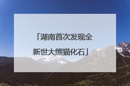 湖南首次发现全新世大熊猫化石