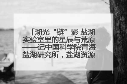 湖光“链”影 盐湖实验室里的星辰与荒原——记中国科学院青海盐湖研究所，盐湖资源化学实验室党总支书记、副主任刘忠