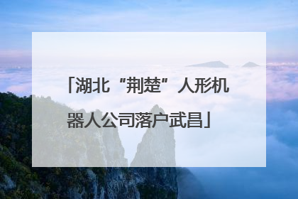 湖北“荆楚”人形机器人公司落户武昌