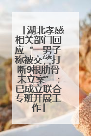 湖北孝感相关部门回应“一男子称被交警打断9根肋骨未立案”：已成立联合专班开展工作