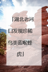 湖北老河口发现珍稀鸟类蓝喉蜂虎