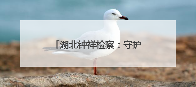 湖北钟祥检察：守护“她”权益，让宝妈们安心“坐月子”