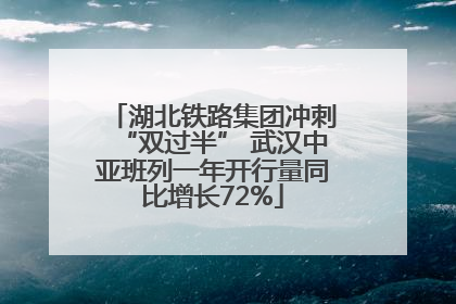 湖北铁路集团冲刺“双过半” 武汉中亚班列一年开行量同比增长72%