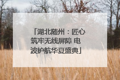 湖北随州：匠心筑牢无线屏障 电波护航华夏盛典