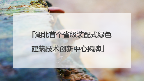 湖北首个省级装配式绿色建筑技术创新中心揭牌
