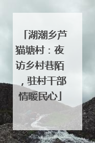 湖潮乡芦猫塘村：夜访乡村巷陌，驻村干部情暖民心