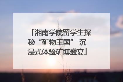 湘南学院留学生探秘“矿物王国” 沉浸式体验矿博盛宴