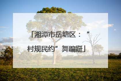 湘潭市岳塘区：“村规民约”舞蹁跹