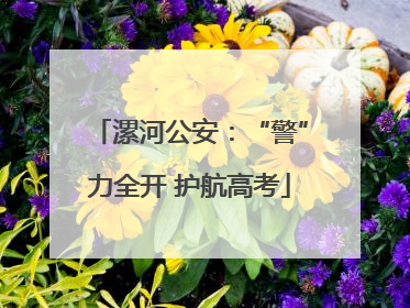 漯河公安：“警”力全开 护航高考