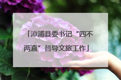 漳浦县委书记“四不两直”督导文旅工作