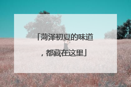菏泽初夏的味道，都藏在这里
