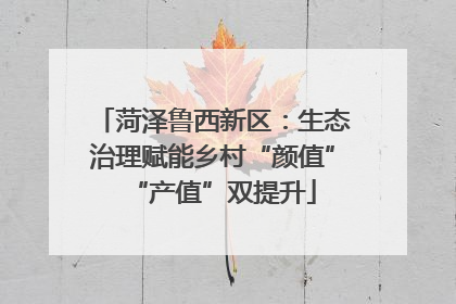 菏泽鲁西新区：生态治理赋能乡村“颜值”“产值”双提升
