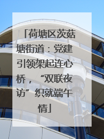 荷塘区茨菇塘街道：党建引领架起连心桥，“双联夜访”织就端午情