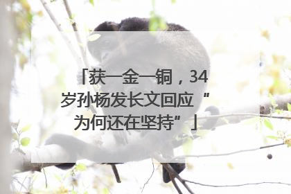 获一金一铜，34岁孙杨发长文回应“为何还在坚持”