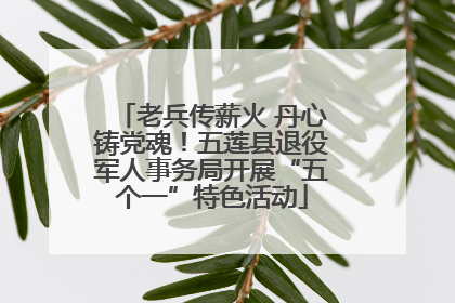 老兵传薪火 丹心铸党魂！五莲县退役军人事务局开展“五个一”特色活动