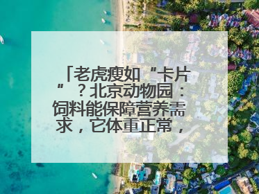 老虎瘦如“卡片”？北京动物园：饲料能保障营养需求，它体重正常，放心吧