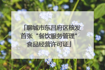 聊城市东昌府区核发首张“餐饮服务管理”食品经营许可证
