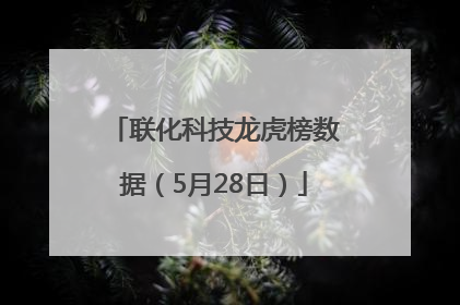 联化科技龙虎榜数据（5月28日）