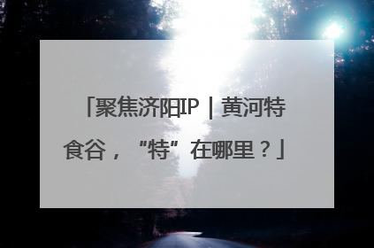聚焦济阳IP｜黄河特食谷，“特”在哪里？