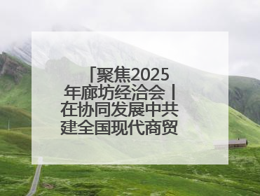 聚焦2025年廊坊经洽会丨在协同发展中共建全国现代商贸物流重要基地