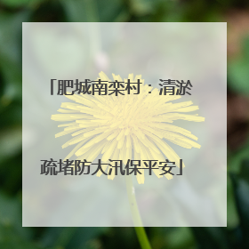 肥城南栾村：清淤疏堵防大汛保平安
