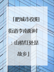 肥城市仪阳街道李南阳村：山楂红处是故乡